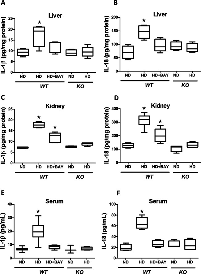 Fig. 8.