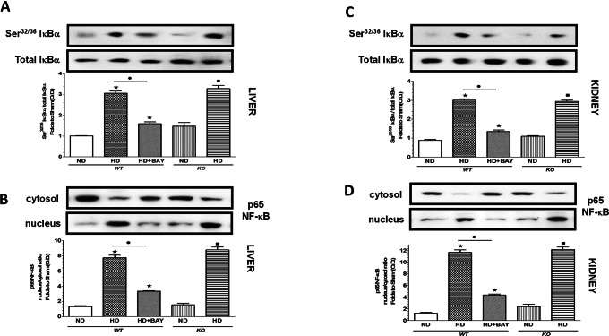 Fig. 9.