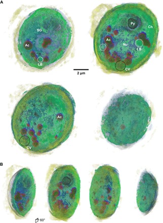 Fig. 3