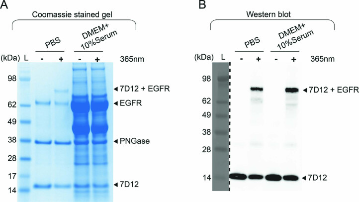 Extended Data Fig. 6