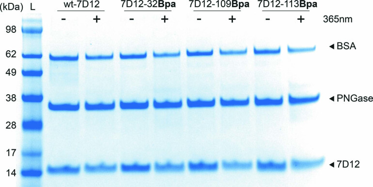 Extended Data Fig. 5