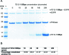Extended Data Fig. 3