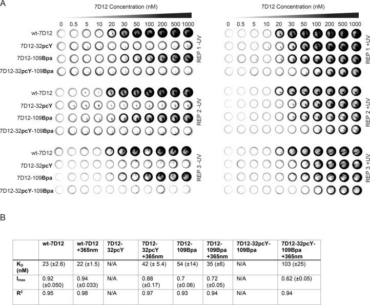 Extended Data Fig. 8