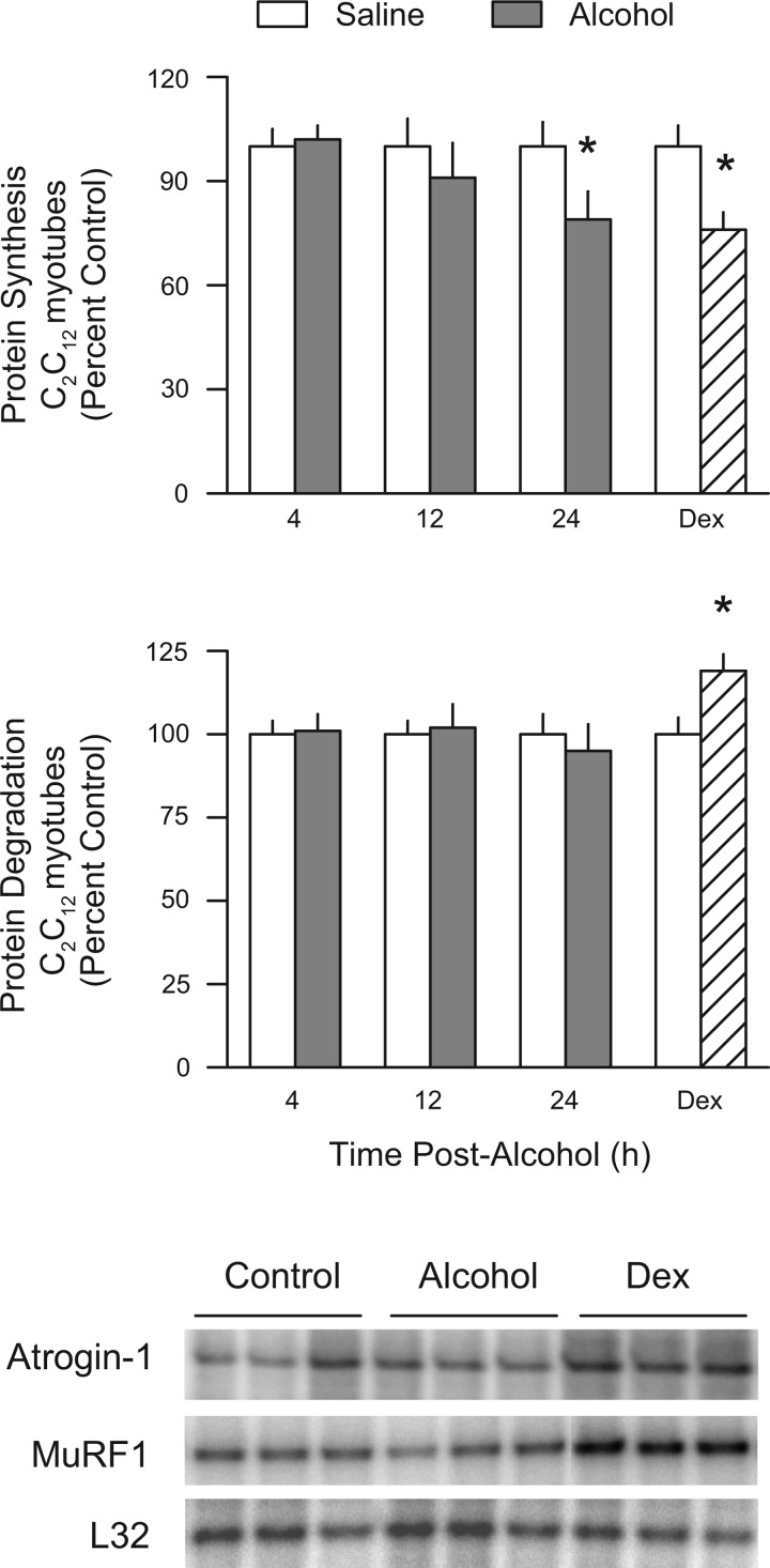 Fig. 9.