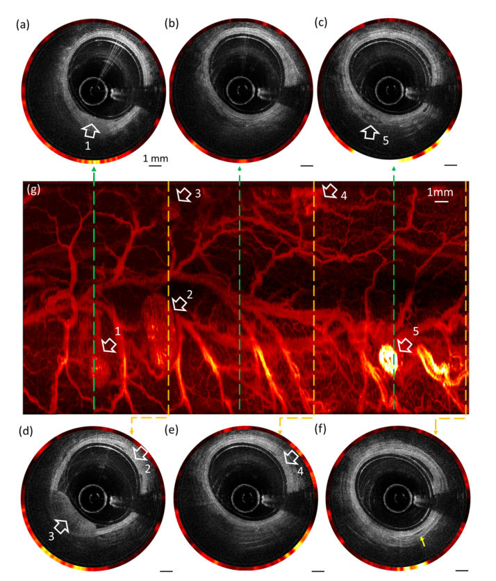 Fig. 4