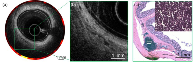 Fig. 9