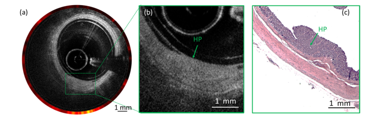 Fig. 7