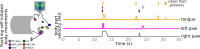Figure 2—figure supplement 1.