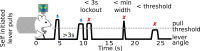 Figure 1—figure supplement 1.
