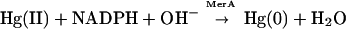 graphic file with name M2.gif