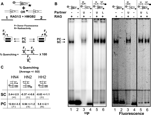 FIG. 6.