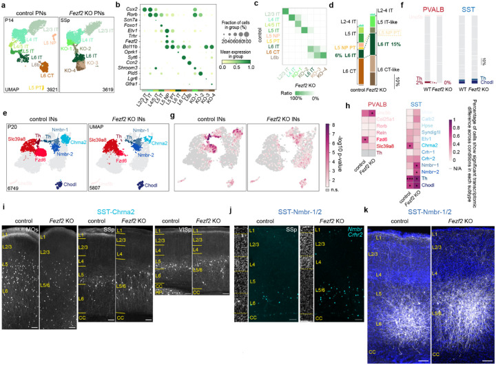 Extended Data Fig. 4
