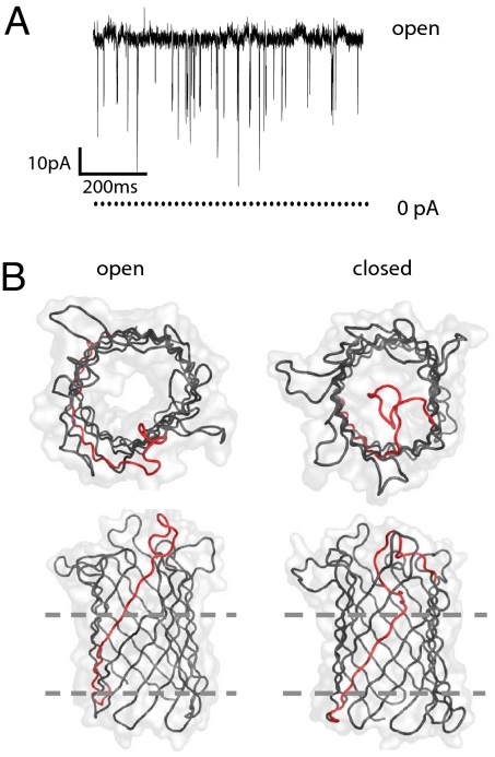 Fig. 1.