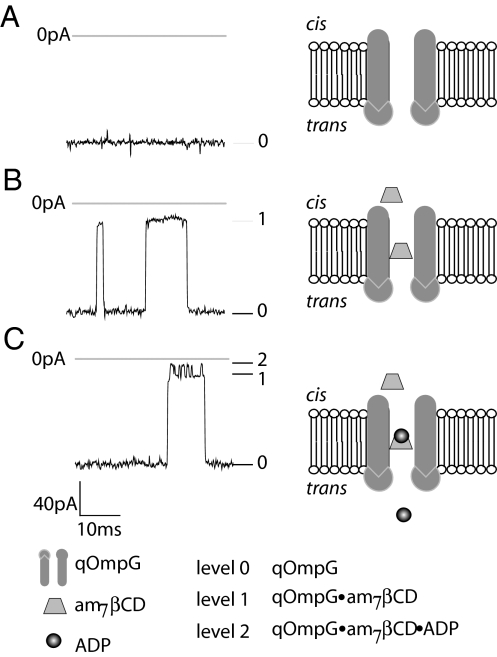 Fig. 6.