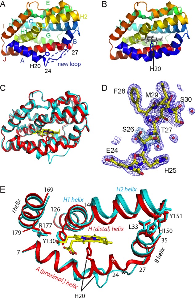 FIGURE 1.