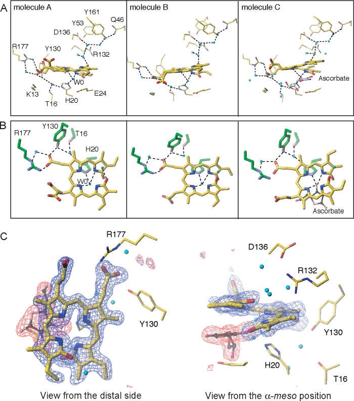 FIGURE 4.