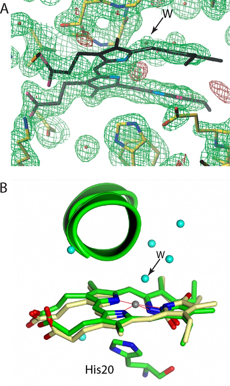 FIGURE 7.