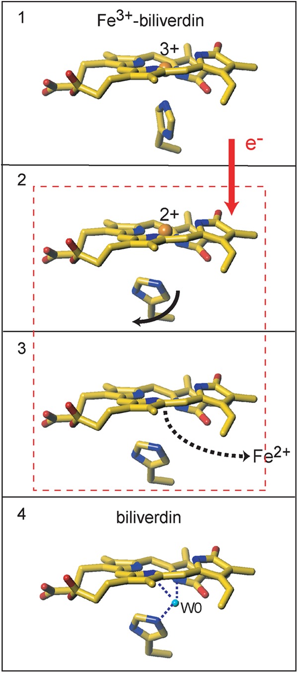 FIGURE 9.