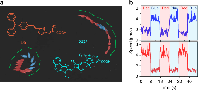 Fig. 3