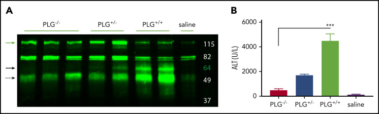 Figure 7.