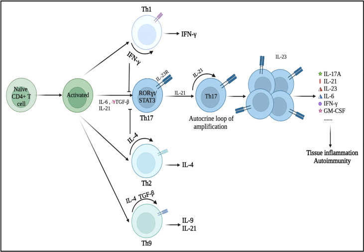 Figure 1