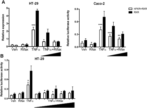 Fig. 8.