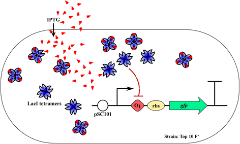 Fig. 2