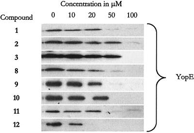 FIG. 8.