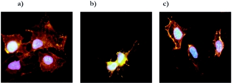 FIG. 7.