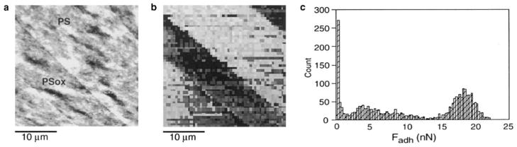 FIG. 4