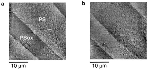 FIG. 5