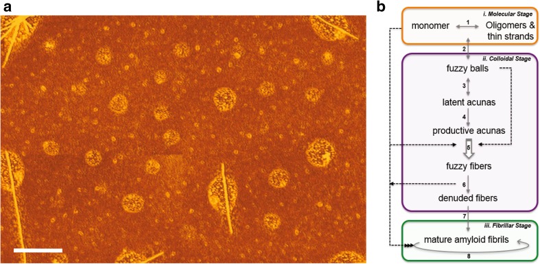 Fig. 1