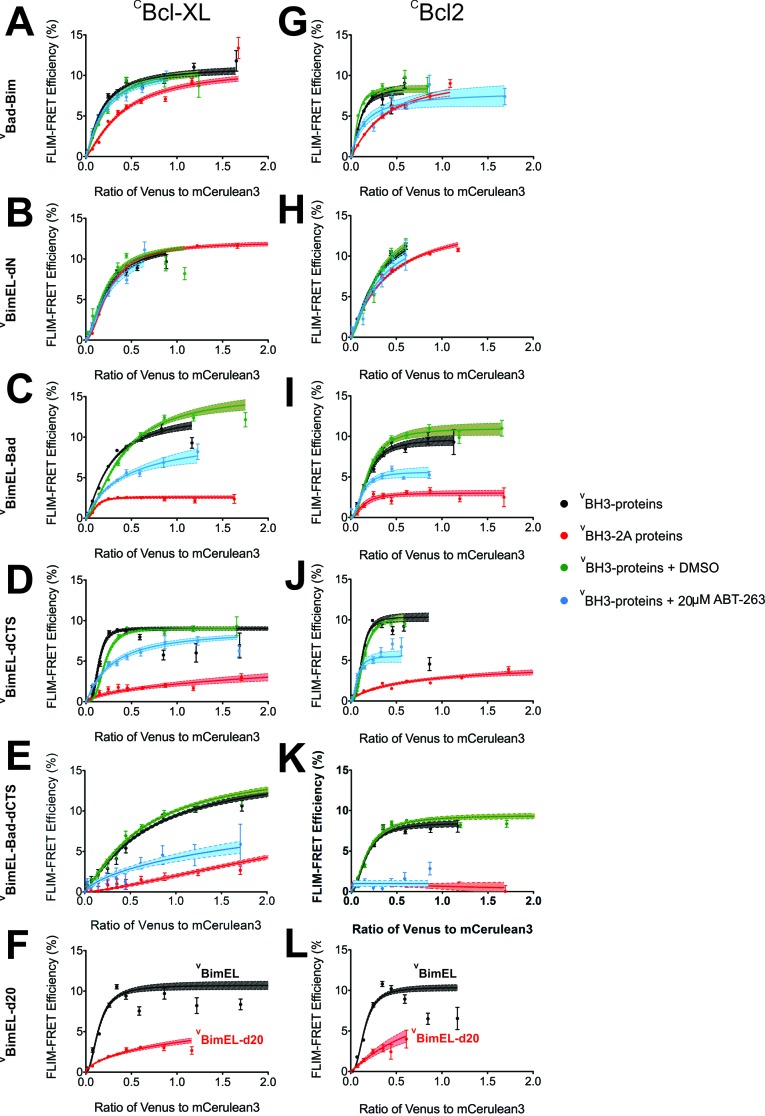 Figure 4—figure supplement 1.