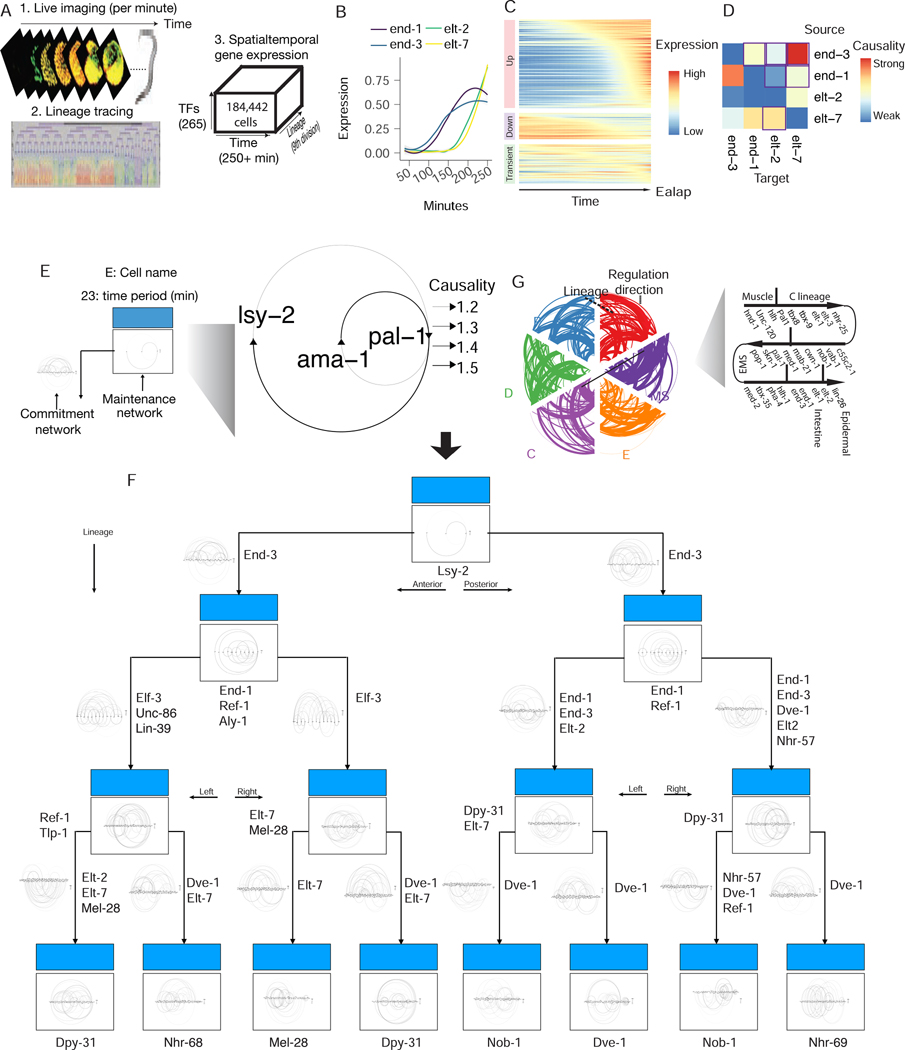 Fig 2: