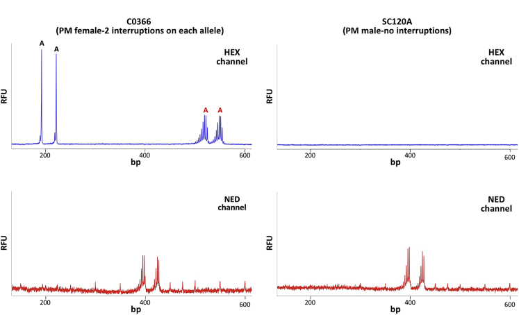 Figure 6