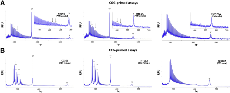 Figure 3