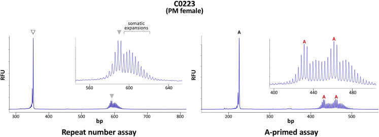 Figure 5