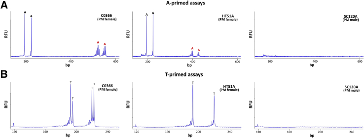 Figure 4