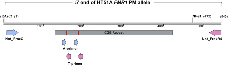 Figure 1