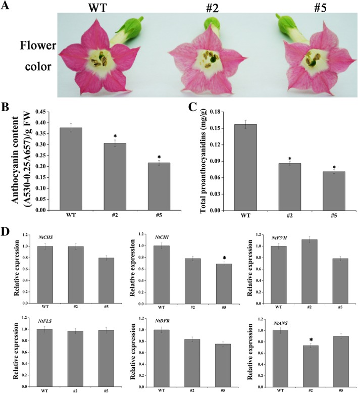 Fig. 5