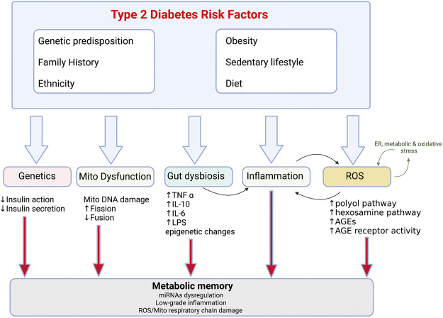 FIGURE 1