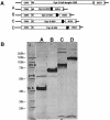 FIG. 5.