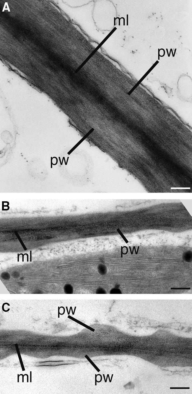 Figure 14.