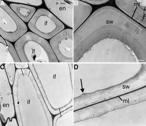 Figure 13.