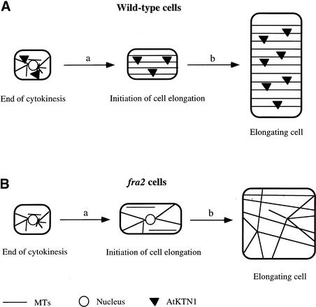 Figure 16.