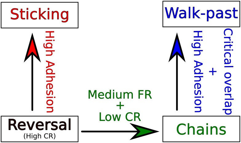 Fig 10