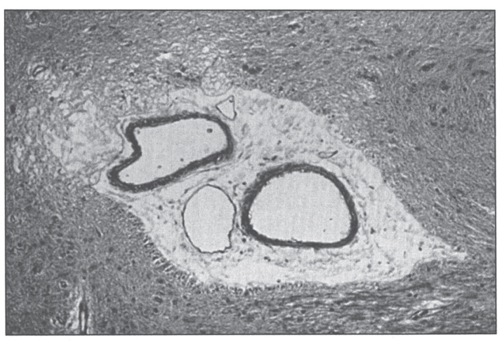 Fig.8