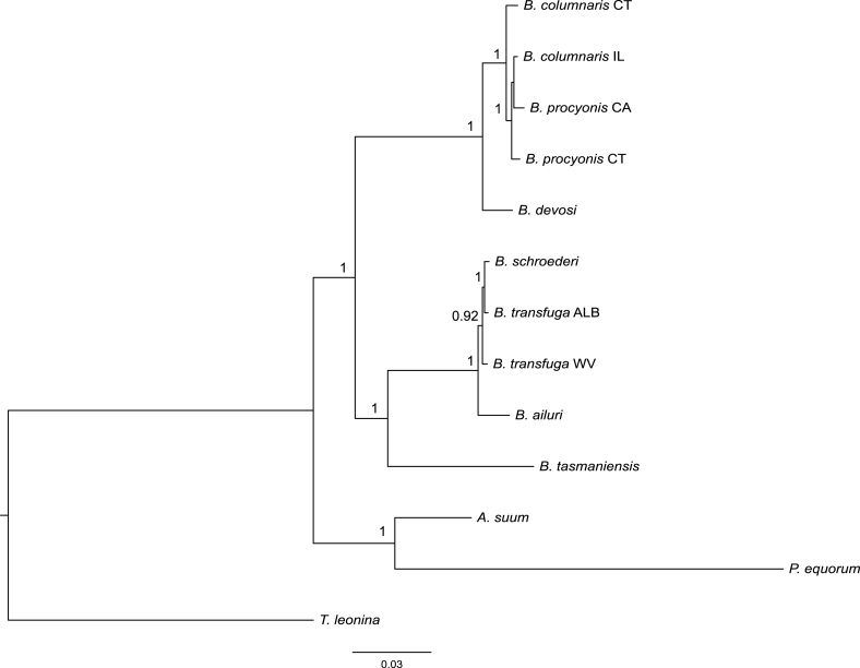 Fig. 2