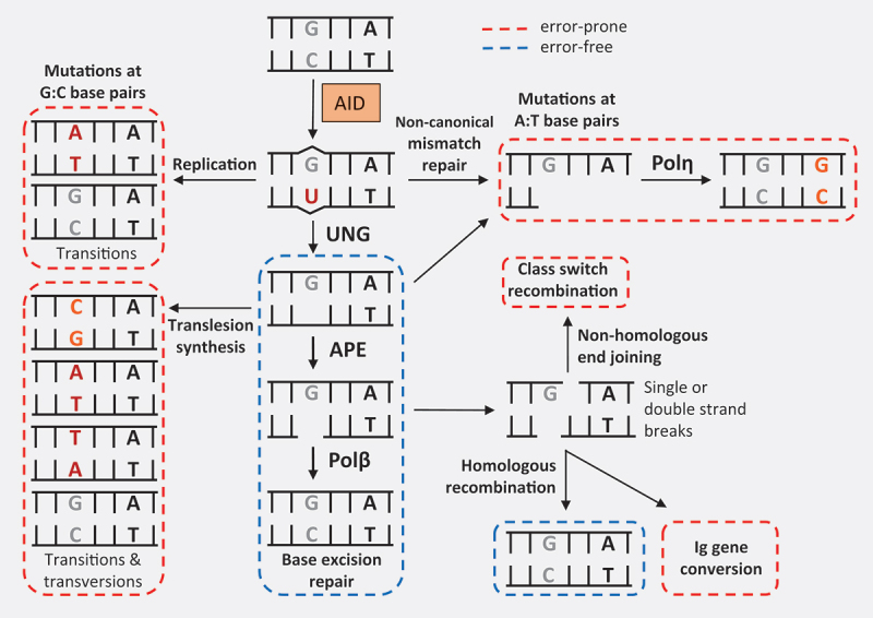 Figure 4.