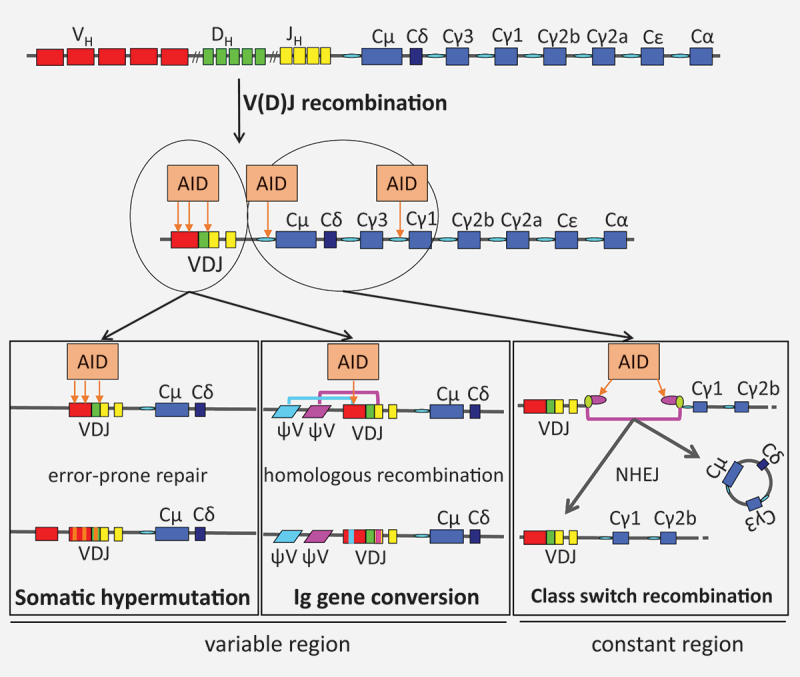 Figure 1.